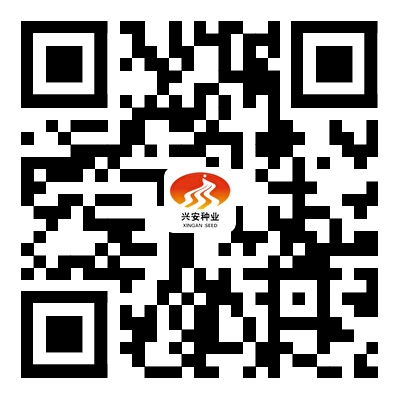 凯发网站·(中国)集团 | 科技改变生活_产品8369